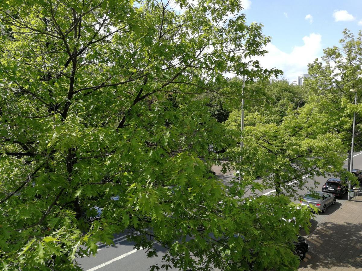 2-Zimmer Apartment Sofia, Gemuetlich Wie Zu Hause Offenbach am Main Exteriör bild